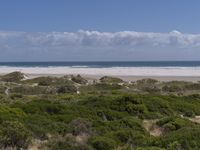 the beach is surrounded by shrubs on a clear day with some clouds in the sky