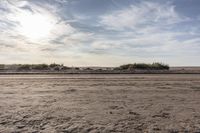 the sand is covered in thick vegetation, and there are tracks leading through it to the beach