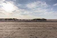 the sand is covered in thick vegetation, and there are tracks leading through it to the beach