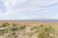 a beautiful beach view with sand, water and plants near by and a lake and mountains