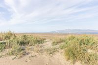 a beautiful beach view with sand, water and plants near by and a lake and mountains