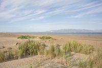 a beautiful beach view with sand, water and plants near by and a lake and mountains