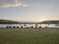 a large body of water surrounded by grass and trees at sunset with yachts out on the water