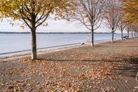 Coastal Landscape in Toronto, Ontario, Canada