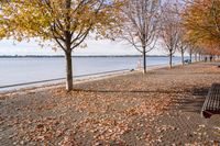 Coastal Landscape in Toronto, Ontario, Canada