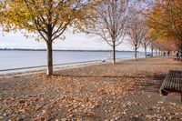 Coastal Landscape in Toronto, Ontario, Canada