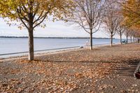 Coastal Landscape in Toronto, Ontario, Canada