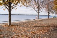 Coastal Landscape in Toronto, Ontario, Canada