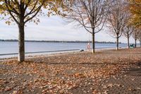 Coastal Landscape in Toronto, Ontario, Canada