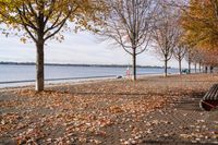 Coastal Landscape in Toronto, Ontario, Canada