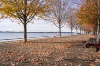 Coastal Landscape in Toronto, Ontario, Canada