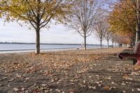 Coastal Landscape in Toronto, Ontario, Canada