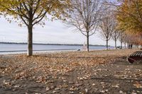 Coastal Landscape in Toronto, Ontario, Canada