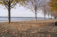 Coastal Landscape in Toronto, Ontario, Canada