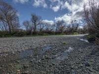 a river next to a forest filled with trees and rocks and pebbles on the bank