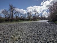 a river next to a forest filled with trees and rocks and pebbles on the bank