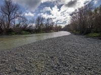 a river next to a forest filled with trees and rocks and pebbles on the bank