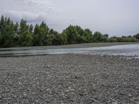 water on the river's bank near trees with a few stones all around it