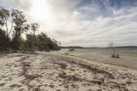 a sandy beach has many debris in the ocean, and trees with the sky above