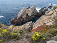 rock cliff formations with colorful vegetation on the beach side and ocean view as background with sky