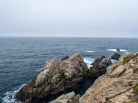 rock cliff formations with colorful vegetation on the beach side and ocean view as background with sky