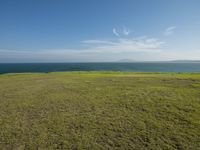 Coastal Landscape: Vegetation in Open Space