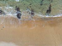 an aerial photo of the ocean waves coming in from the beach and some birds on the sand