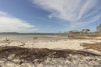 the sand beach is white with a patch of grass on it and trees along the water