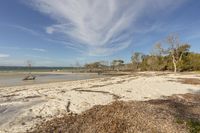 an open white sandy beach with some trees and bushes on the shore of it in front of a clear blue sky