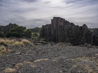 Coastal Landscape: Wood and Bedrock Formation