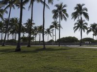 a car driving past palm trees in the distance on a sunny day in florida beach