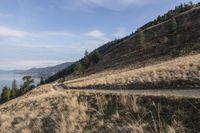 Coastal Mountain Landscape in British Columbia