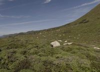 Coastal Mountains in California, USA