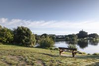 a wooden bench sitting on top of a grass covered field next to a lake and bushes