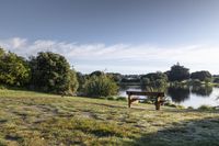 a wooden bench sitting on top of a grass covered field next to a lake and bushes