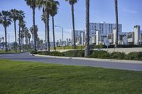 Coastal Neighborhood in Los Angeles, California