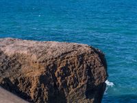 Coastal Beauty of New Zealand's North Island