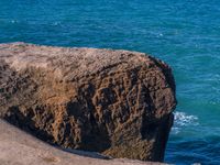 Coastal Beauty of New Zealand's North Island