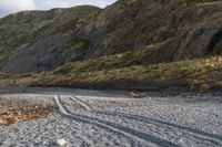 a lone sheep stands in the middle of a gravel field near the water and mountains