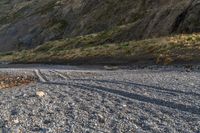 a lone sheep stands in the middle of a gravel field near the water and mountains