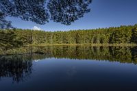 a lake with trees on both sides, and the sky reflected in the water off to the side