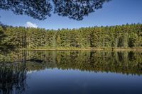 a lake with trees on both sides, and the sky reflected in the water off to the side