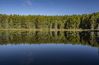 a lake with trees on both sides, and the sky reflected in the water off to the side