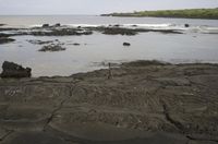 Coastal Open Space: A Rocky Beach with Stunning Views