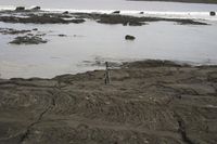 Coastal Open Space: A Rocky Beach with Stunning Views