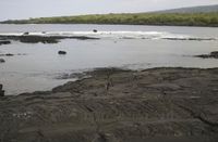 Coastal Open Space: A Rocky Beach with Stunning Views