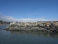 Coastal Parking in California, USA