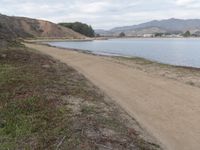 a path leads to the beach with green grass and a body of water in the distance