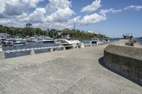 boat dock with boats docked on water and a group of people on a ramp under a cloudy sky