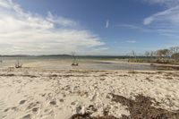 a deserted beach with footprints in the sand and blue skies above a lagoon with no trees